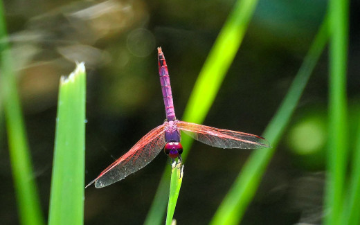 1754961 (a): :1920x1200